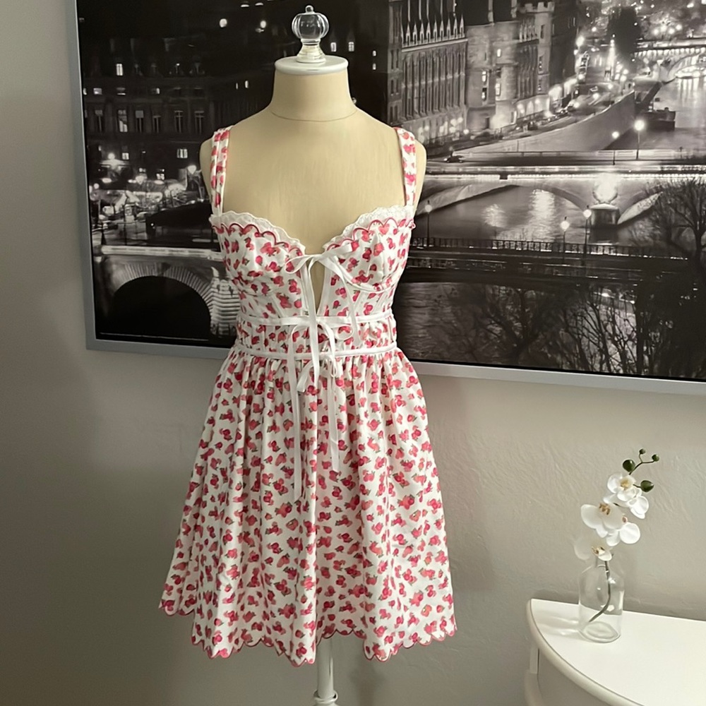 For Love & Lemons Victoria’s Secret dress